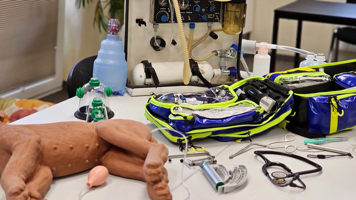 Ausbildungssituation: Materialkunde und strukturierte Vorbereitung in der Tierrettung